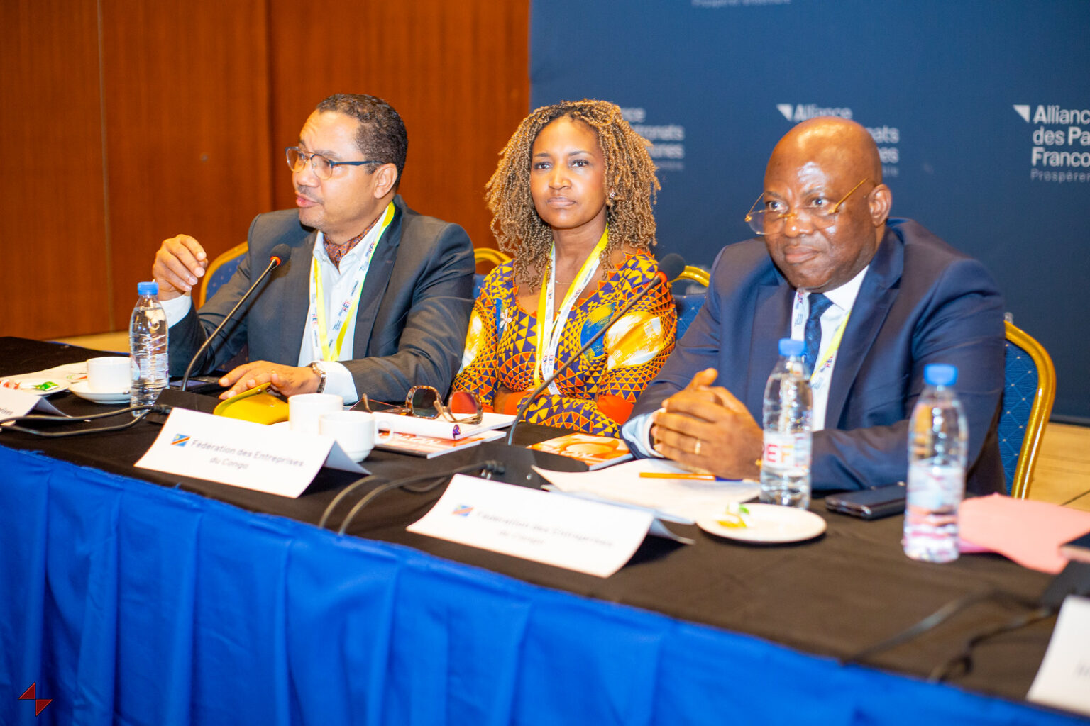 Site institutionnel de la Fédération des Entreprises du Congo - FEC RDC